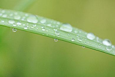 《英雄连3》未来发展路线图 “幽影之蜂”十月登陆PC